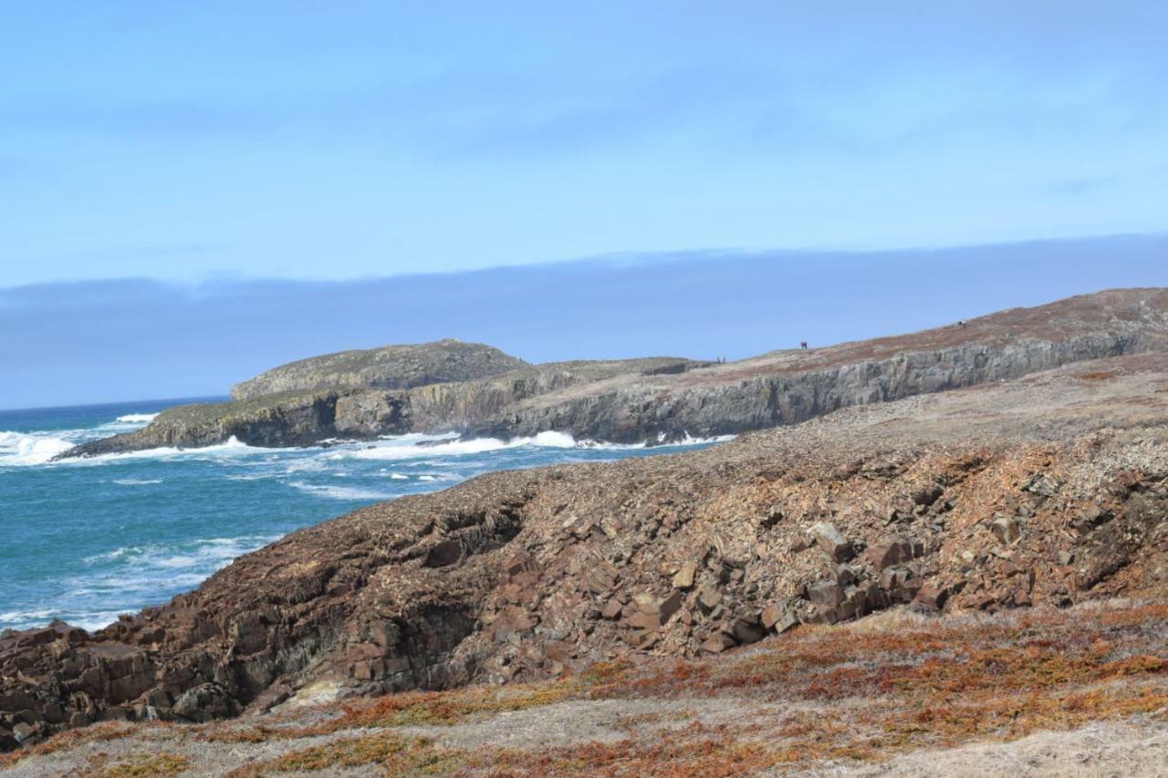 Bird Island B&B Bed And Bubble Elliston Kültér fotó